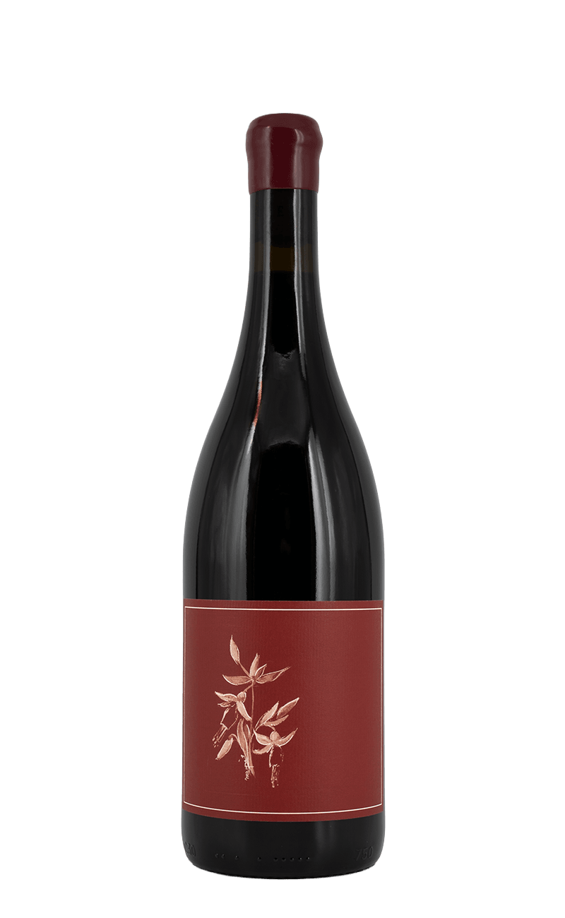 Arnot-Roberts Syrah 2024 California