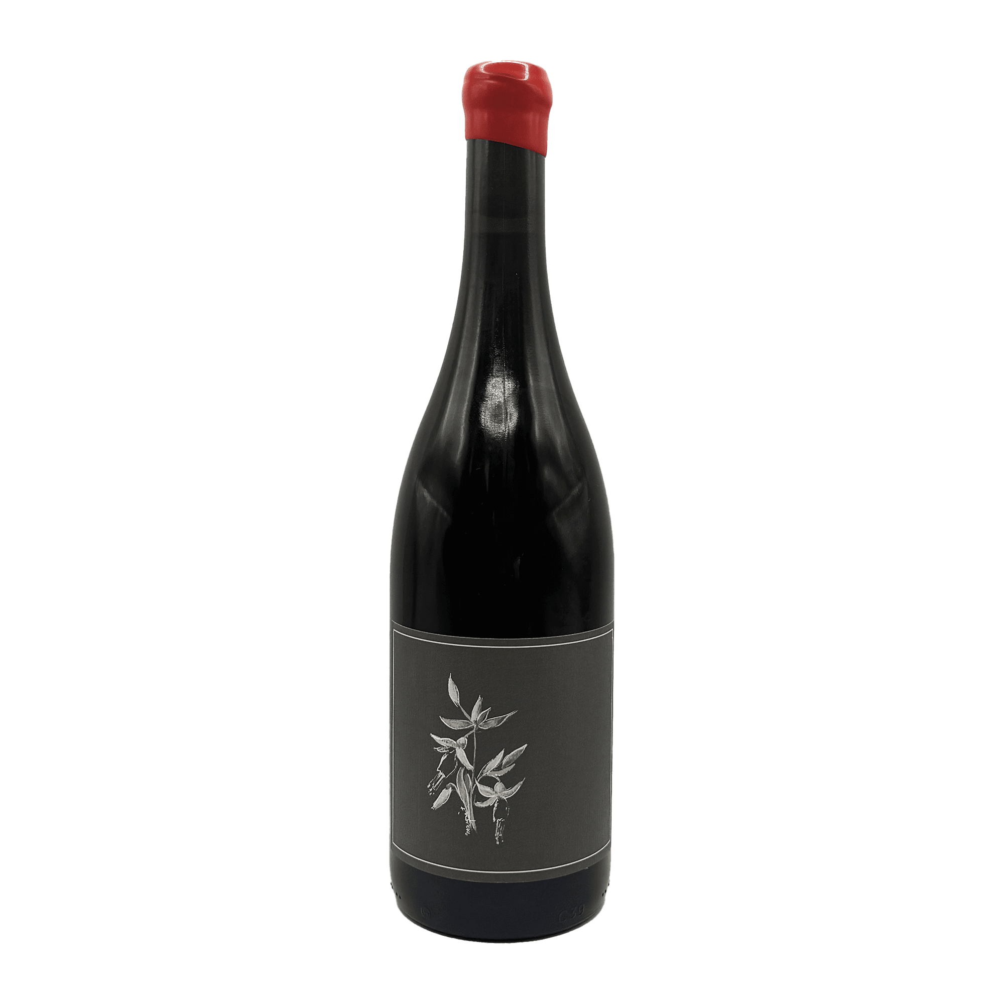 Arnot-Roberts 'North Coast' Trousseau 2024 California