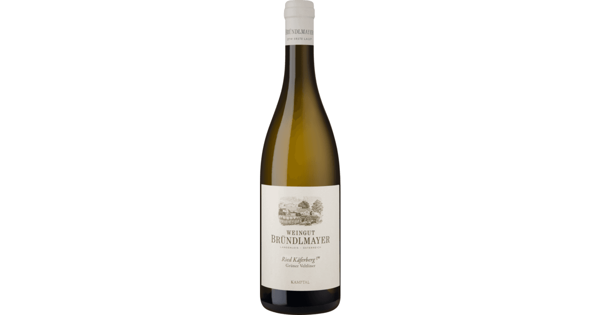Weingut Brundlmayer Kaferberg Gruner Veltliner 2021 Kamptal, Austria