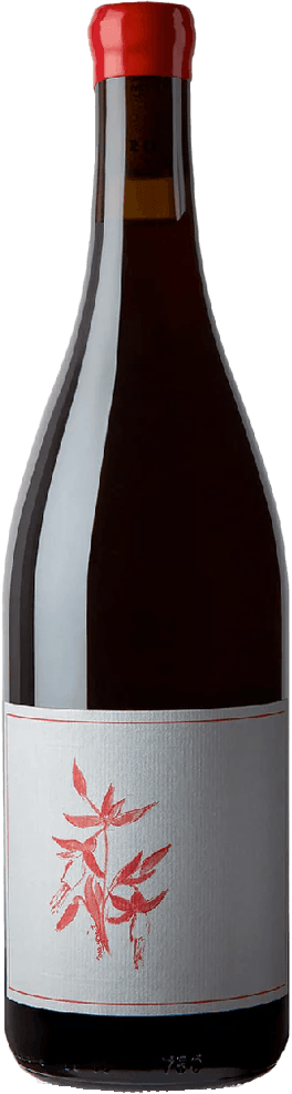 Arnot-Roberts 'El Dorado' Gamay Noir 2024 California
